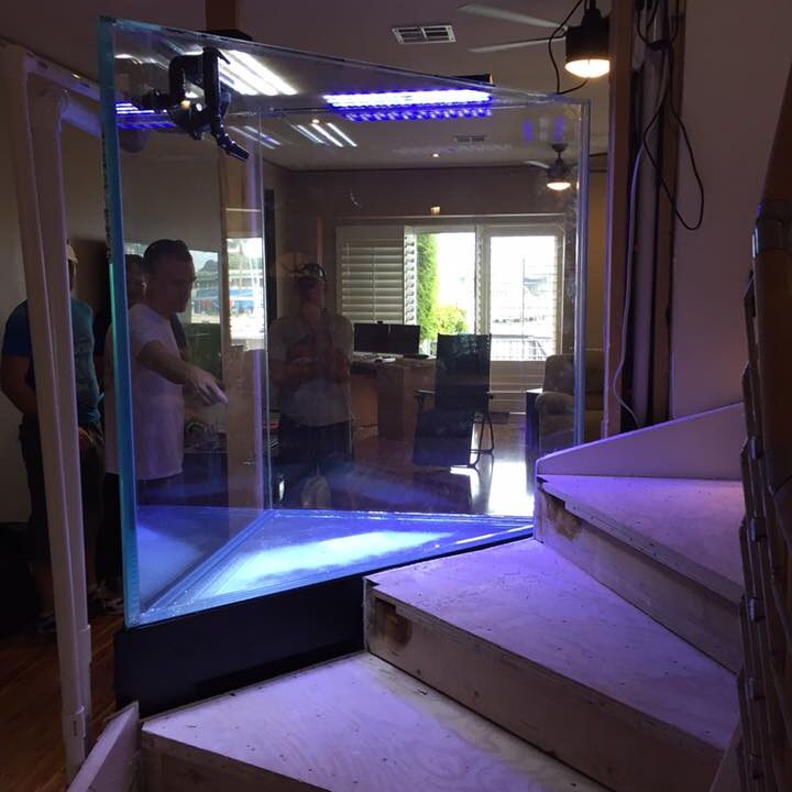 synergy_aquatics_1112